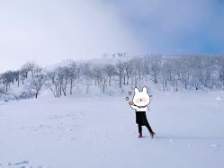 -大秃顶子山