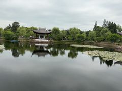-无锡蠡湖国家湿地公园-蠡园