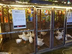 -鱼窝棚柴火铁锅炖(富山屯店)