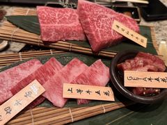 -老乾杯(深圳湾万象城店)