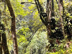 -西岭雪山大飞水景区