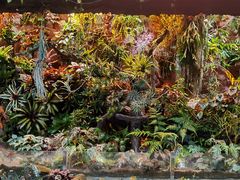 -北京植物园-展览温室