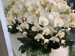 -远洋未来广场(育慧北路店)