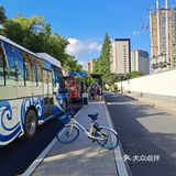 心目中城东最美的一条路:机场路。