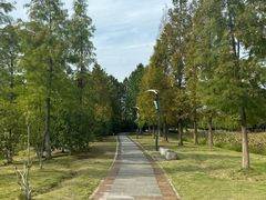 -天天鲜面馆(衡山路店)