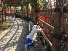 景点-茅山东方盐湖城景区