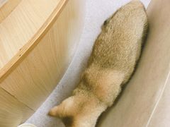 -猫和宫(六道口店)