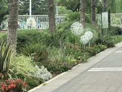 -西海子公园