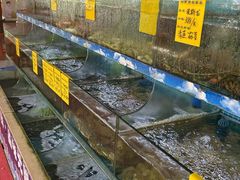 -坛南湾阿强农家乐.海鲜大排档老字号(福州地标美食店)