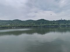 -楼外楼(西湖景区孤山路店)