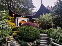 -十八棵（老龙井）御茶园(老龙井店)