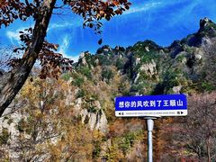 -王顺山国家森林公园