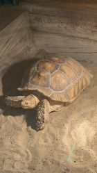 -Zoolung Zoolung动物主题公园(海信广场店)