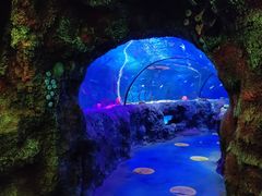 -沈阳海洋探索中心