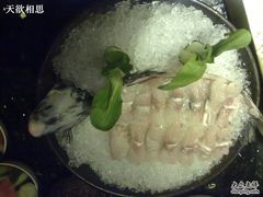 江团鱼-王家渡火锅店(棕榈泉店)