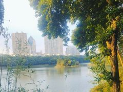 -南宁南湖公园