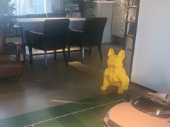 -百好乐宠物友好餐厅(朝外大街店)