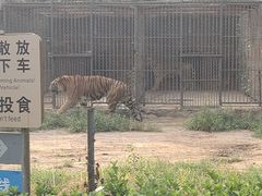-秦皇岛野生动物园