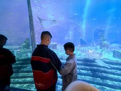 -亚特兰蒂斯•OSSIANO奥西亚诺海底餐厅