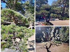 -杭州植物园