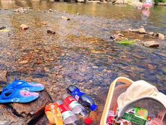 -北仑森林植物园