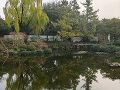 -秋霞圃