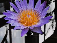 -北京植物园-展览温室