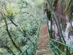 -湖州龙王山景区