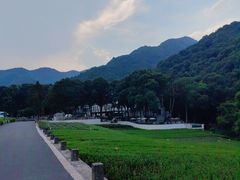 -龙坞茶村