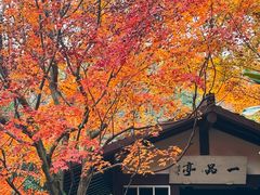 -中国茶叶博物馆(双峰馆区)