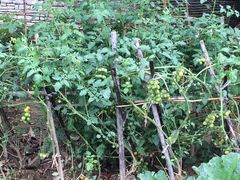 -贵阳市花溪国家城市湿地公园