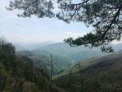 -牛背梁国家森林公园