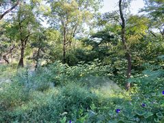 -北京西山国家森林公园