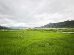 -泸沽湖国家级风景名胜区走婚桥