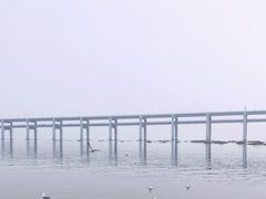 -黑石礁公园