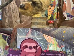 -正佳雨林生态植物园