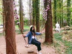 -日照灯塔风景区