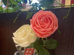 -杯子红牛排(创意产业园店)
