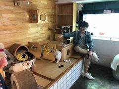 -喵屿·大理花园猫咖