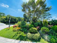 -阳台山森林公园
