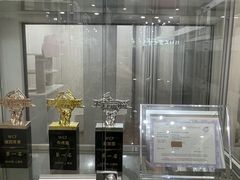 -青奢宠物·青奢猫舍