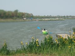-春花秋色城市公园