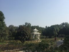 -东湖落雁景区