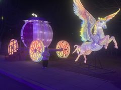 -沈阳奥体冰雪嘉年华