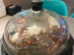 -乔哥铭洋海鲜自助(皇城恒隆广场店)