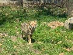 -西安秦岭野生动物园