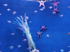 -沈阳海洋探索中心