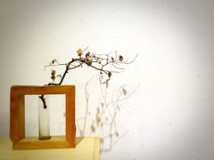 -柴务处·柴犬主题狗咖