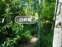 -萨尔浒风景区