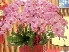 -手佳·水疗汇(杏林宁宝店)